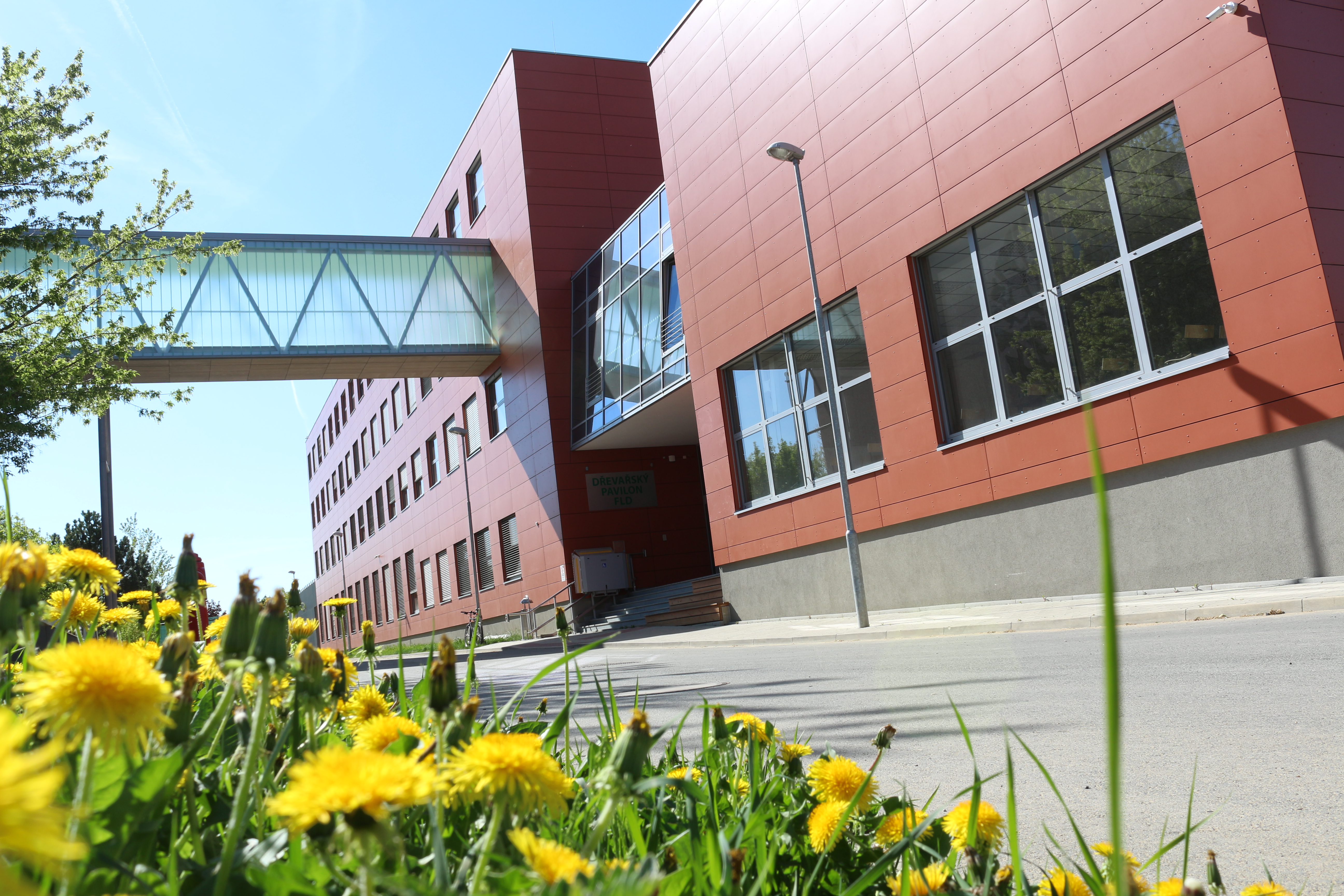 FLD CZU Wood Pavilion